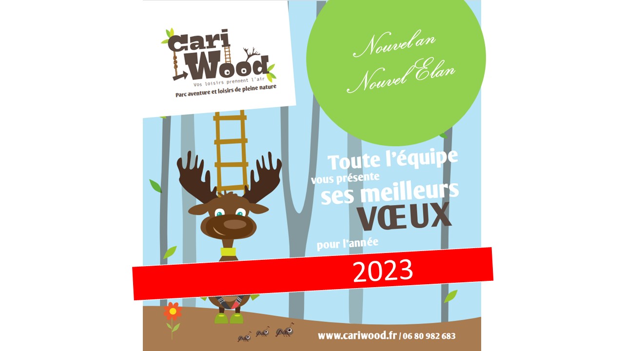 Bonne année 2023 - cariwood - Beauvais