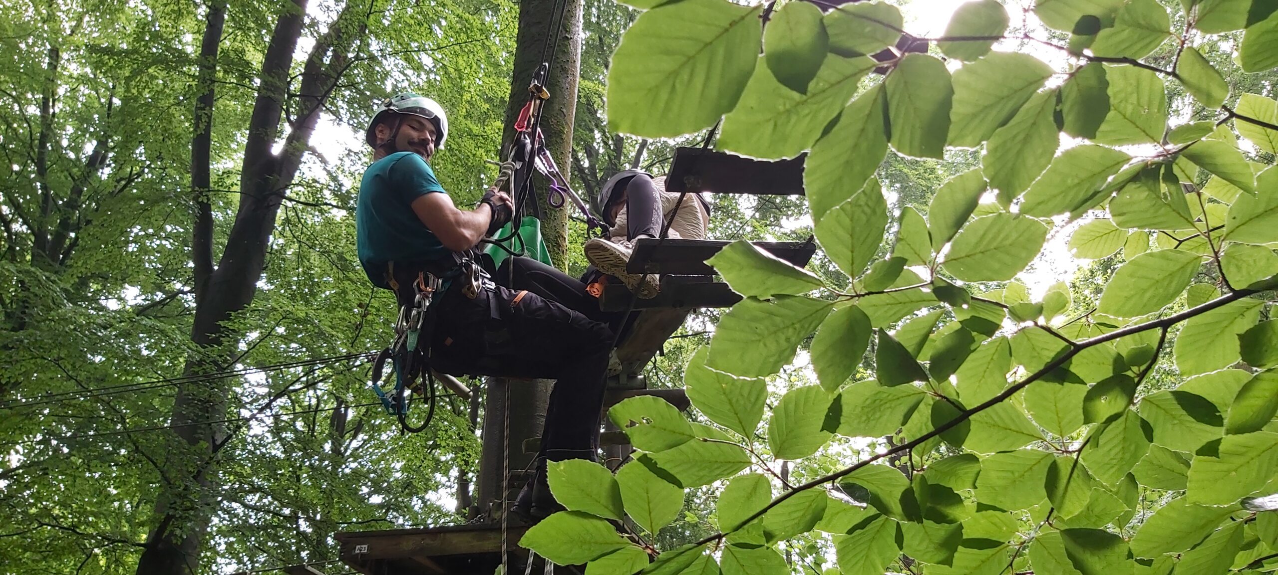 Une personne portant un équipement d'escalade et un casque est assise sur une plate-forme en bois au sommet d'un arbre feuillu.